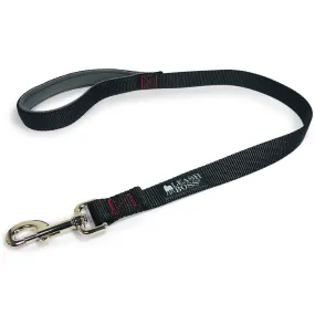 30 Inch Dog Leash with Padded Handle