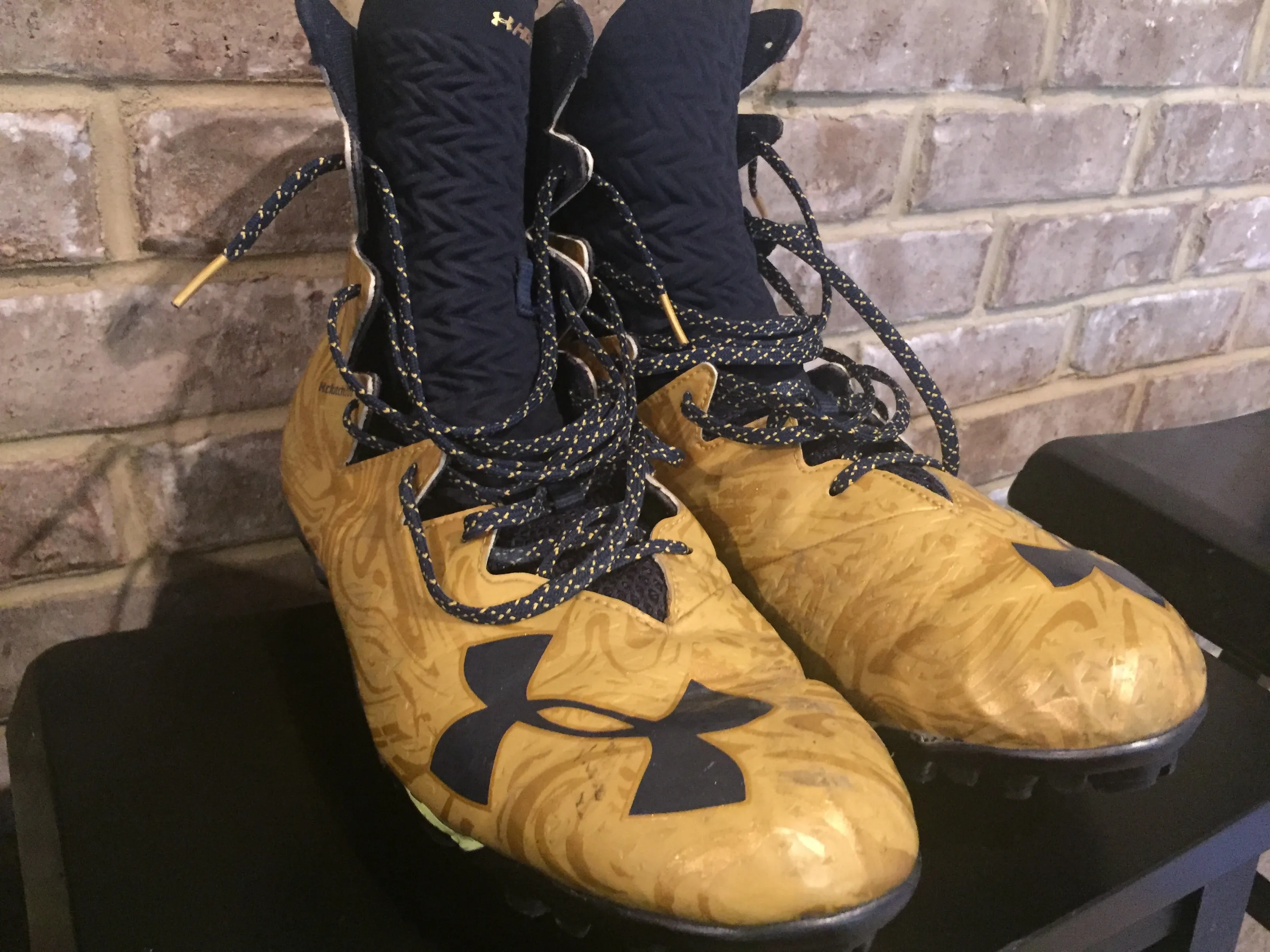 Jerry Tillery 2017 Notre Dame Team Issued/ Game Used Under Armour Cleats #99