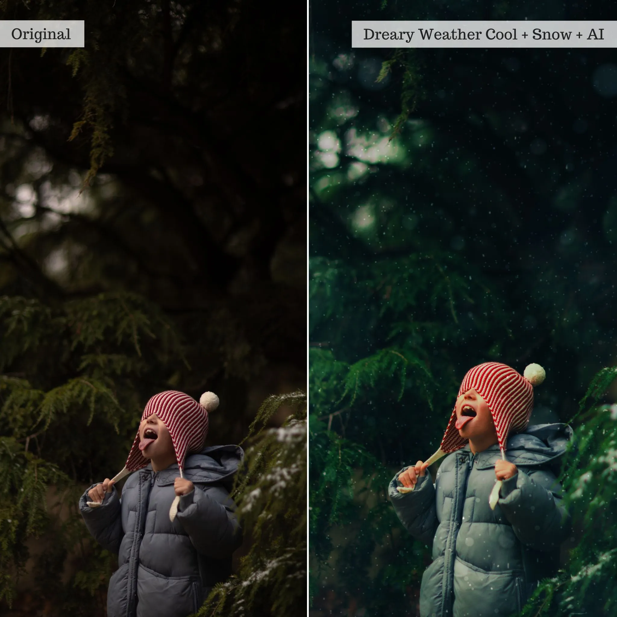 Let it Snow! 2.0 Winter Lightroom Presets & AI Tools – Desktop & Mobile