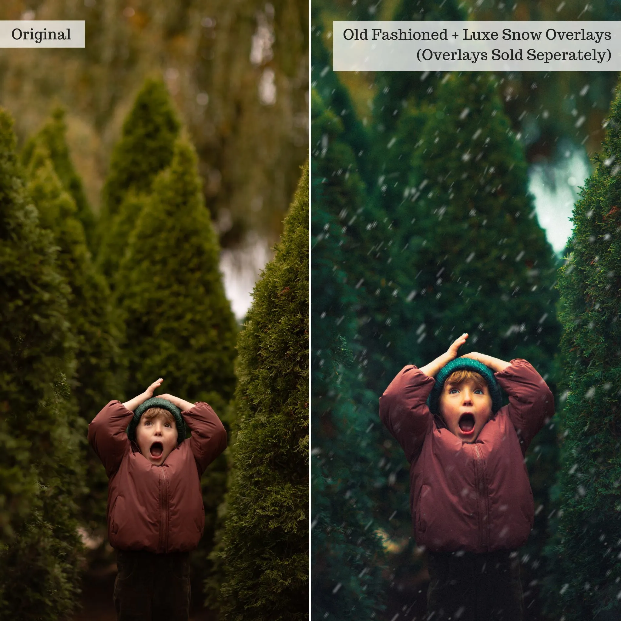 Let it Snow! 2.0 Winter Lightroom Presets & AI Tools – Desktop & Mobile