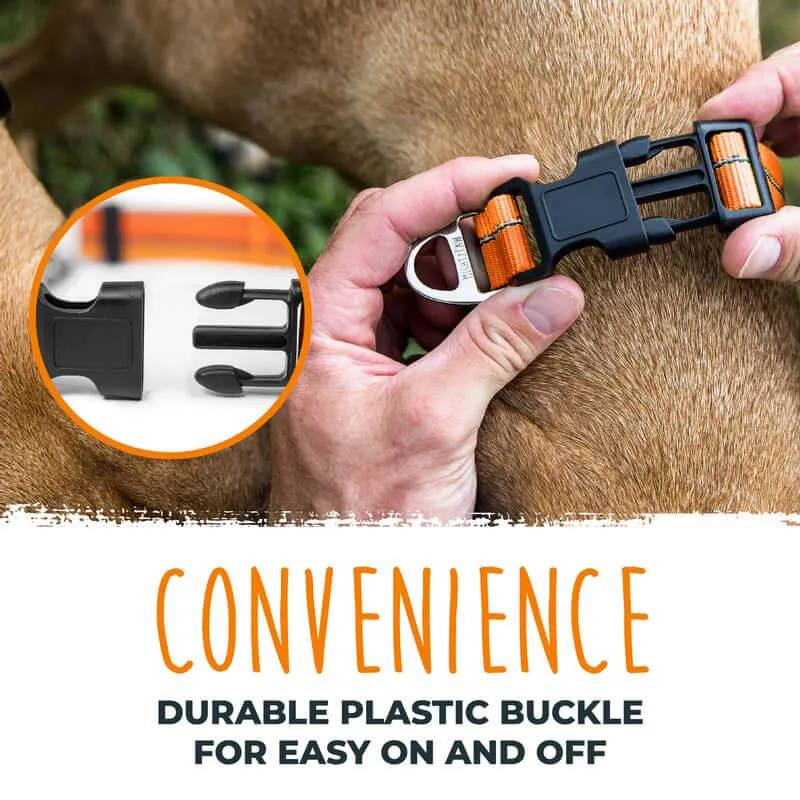 Martingale Dog Training Collar 2.0 - Gentle Yet Effective