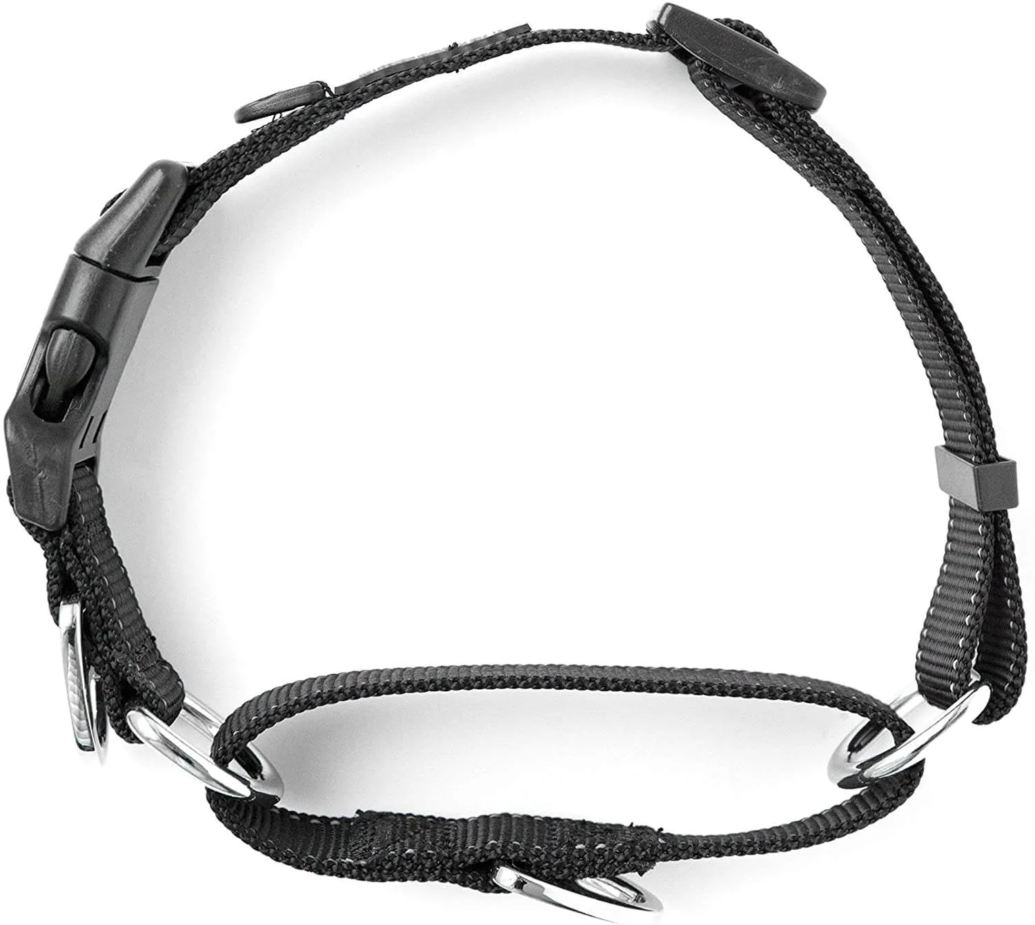 Mighty Paw Nylon Martingale Dog Collar for Training